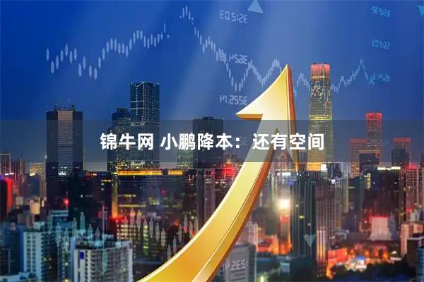 锦牛网 小鹏降本：还有空间