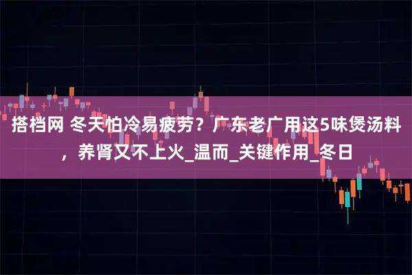 搭档网 冬天怕冷易疲劳？广东老广用这5味煲汤料，养肾又不上火_温而_关键作用_冬日