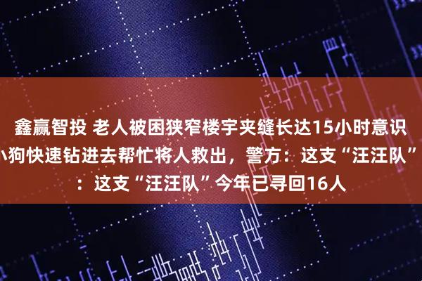 鑫赢智投 老人被困狭窄楼宇夹缝长达15小时意识模糊，广州1岁小狗快速钻进去帮忙将人救出，警方：这支“汪汪队”今年已寻回16人